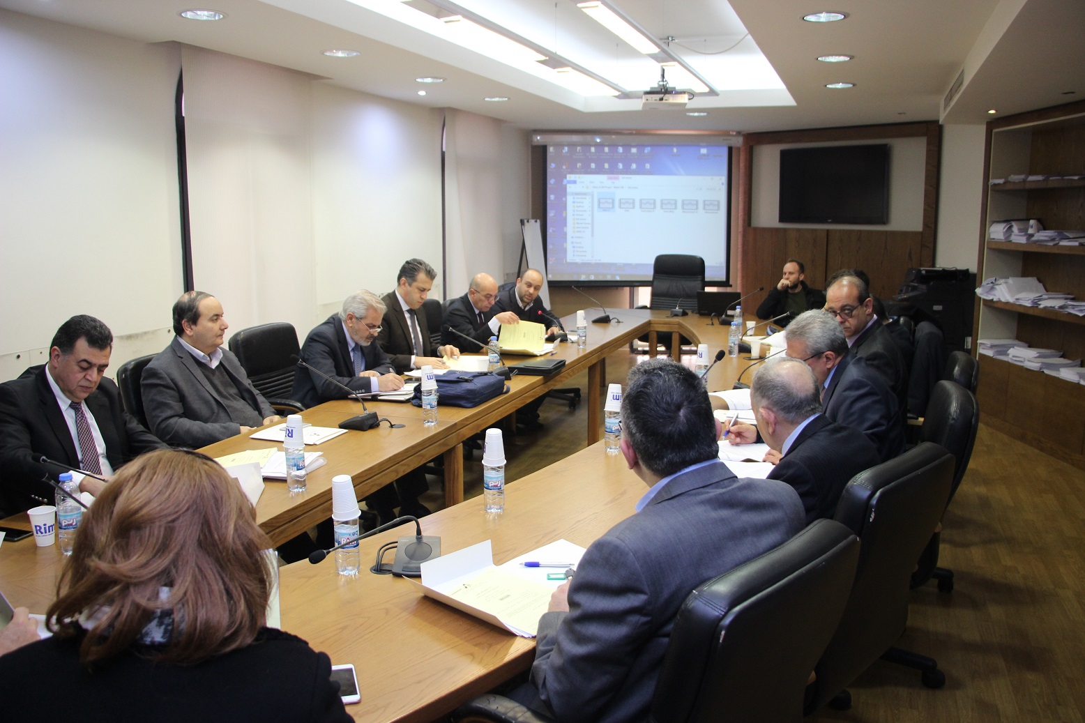 Fourth Steering Committee Meeting of the project “Building a rule of law society"