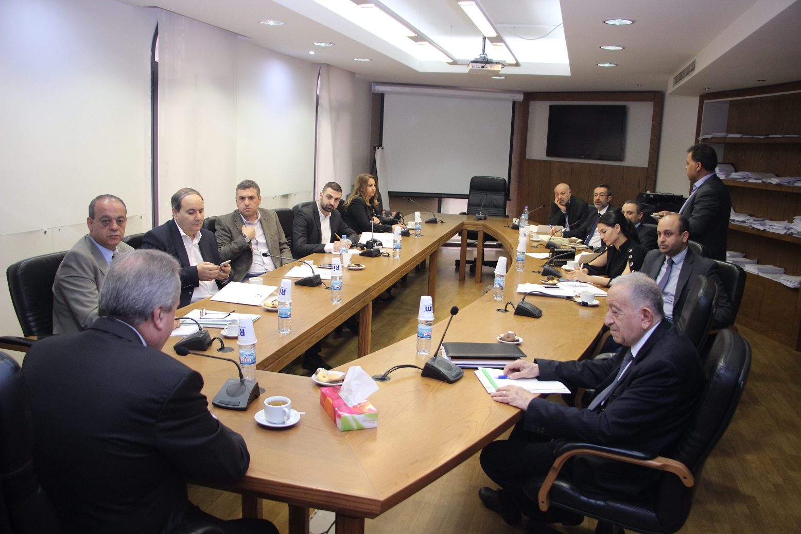 Fifth Steering Committee Meeting of the Project “Building a Rule of Law Society"